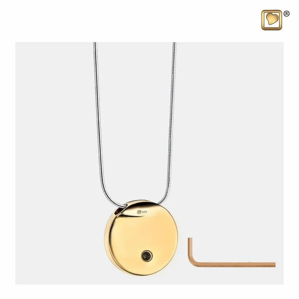Ashanger Eternity Bicolour Verguld Zilver inclusief Collier - Afbeelding 3