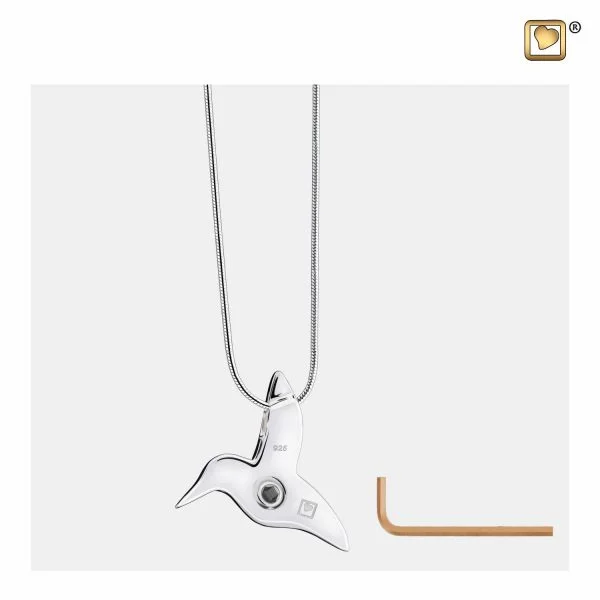Ashanger Kolibrie Zilver inclusief Collier - Afbeelding 3