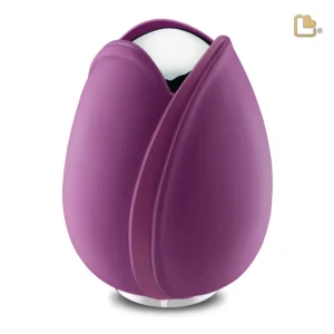 Tulp_Urn_Paars_A1054