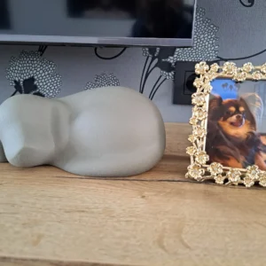 Porseleinen urn voor hond